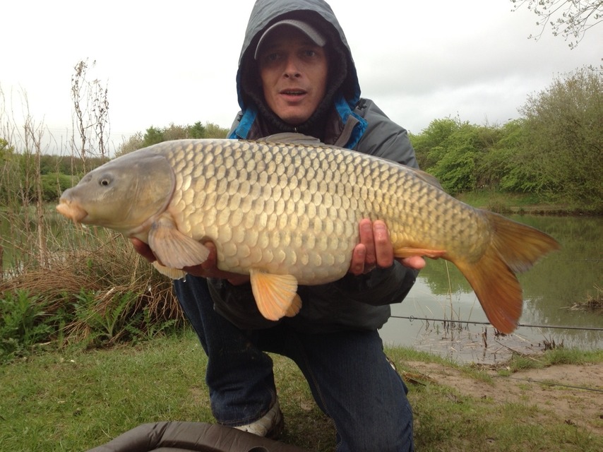 17.5 common from Glyn